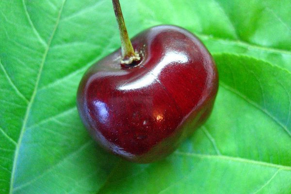 Кракен сайт официальный onion